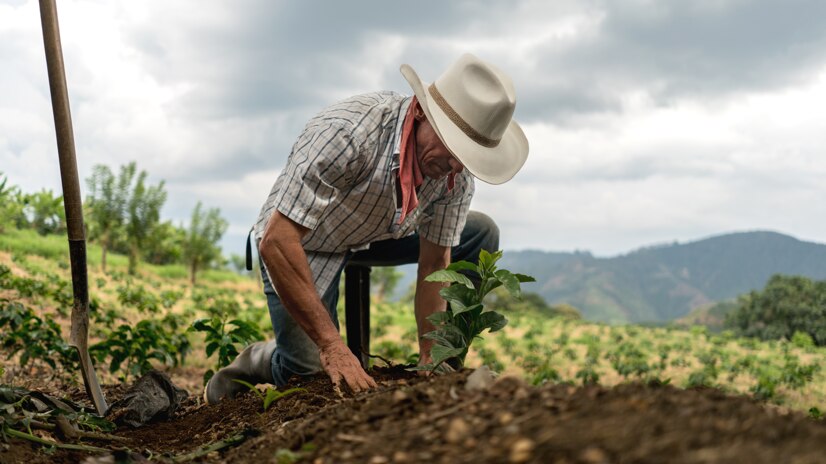 Agricultor